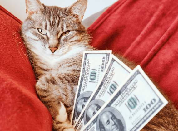 huisdier en geld